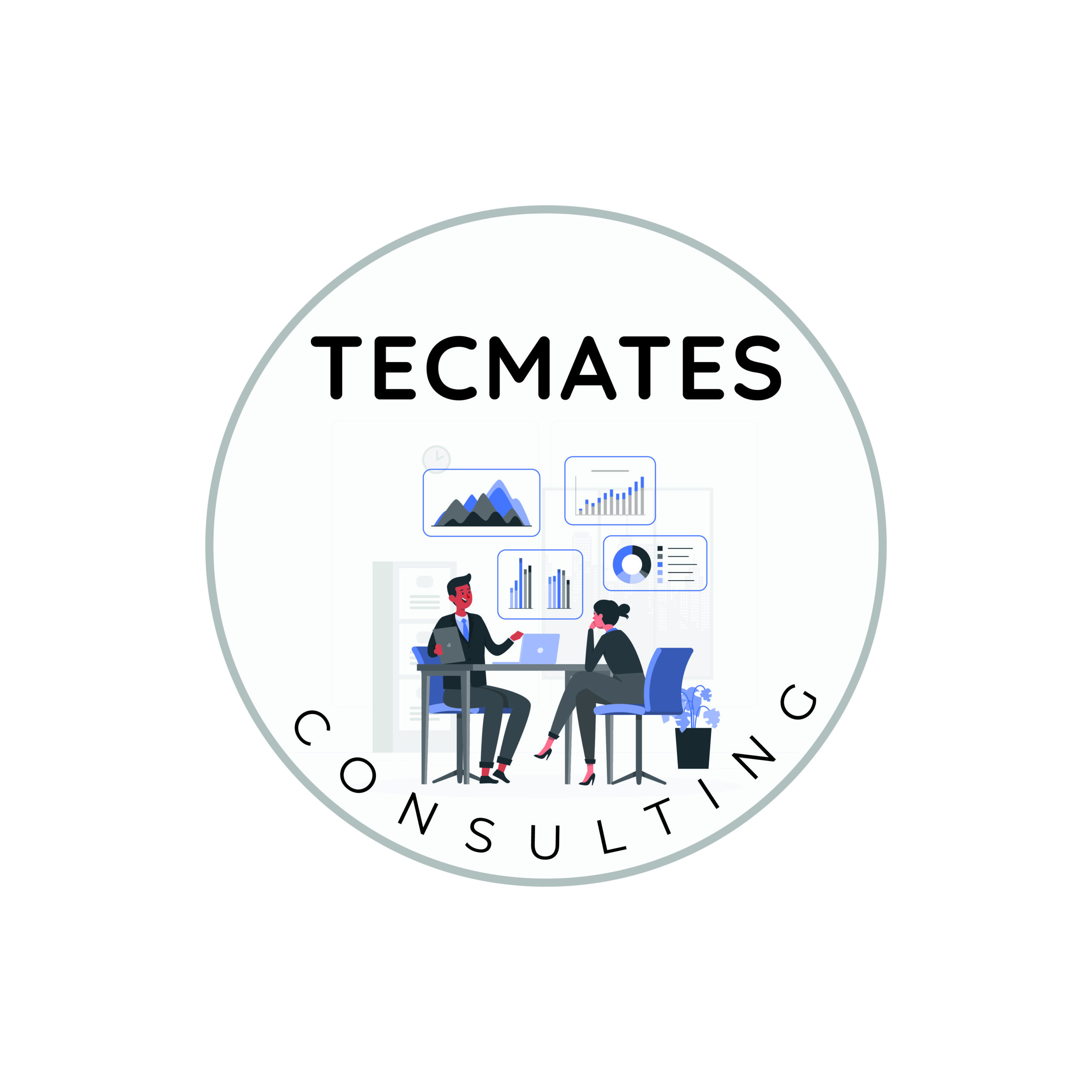 Tec Mates Consulting