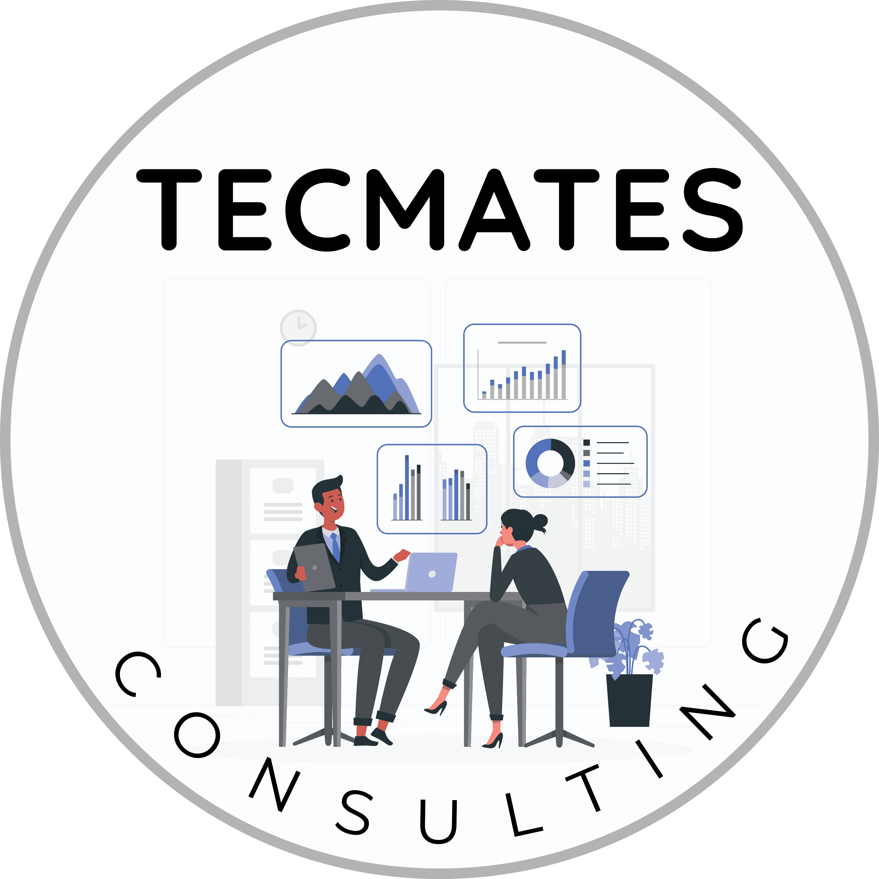 Tec Mates Consulting